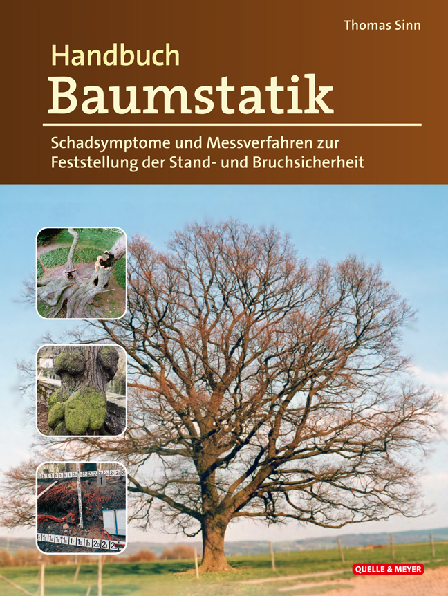 Handbuch Baumstatik