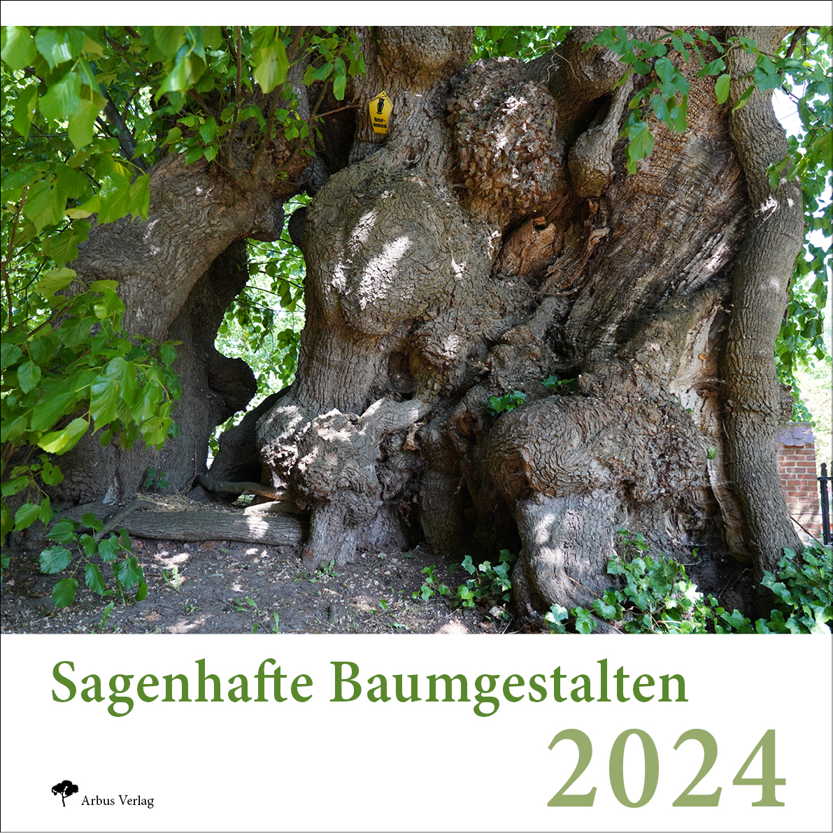Sagenhafte Baumgestalten 2024