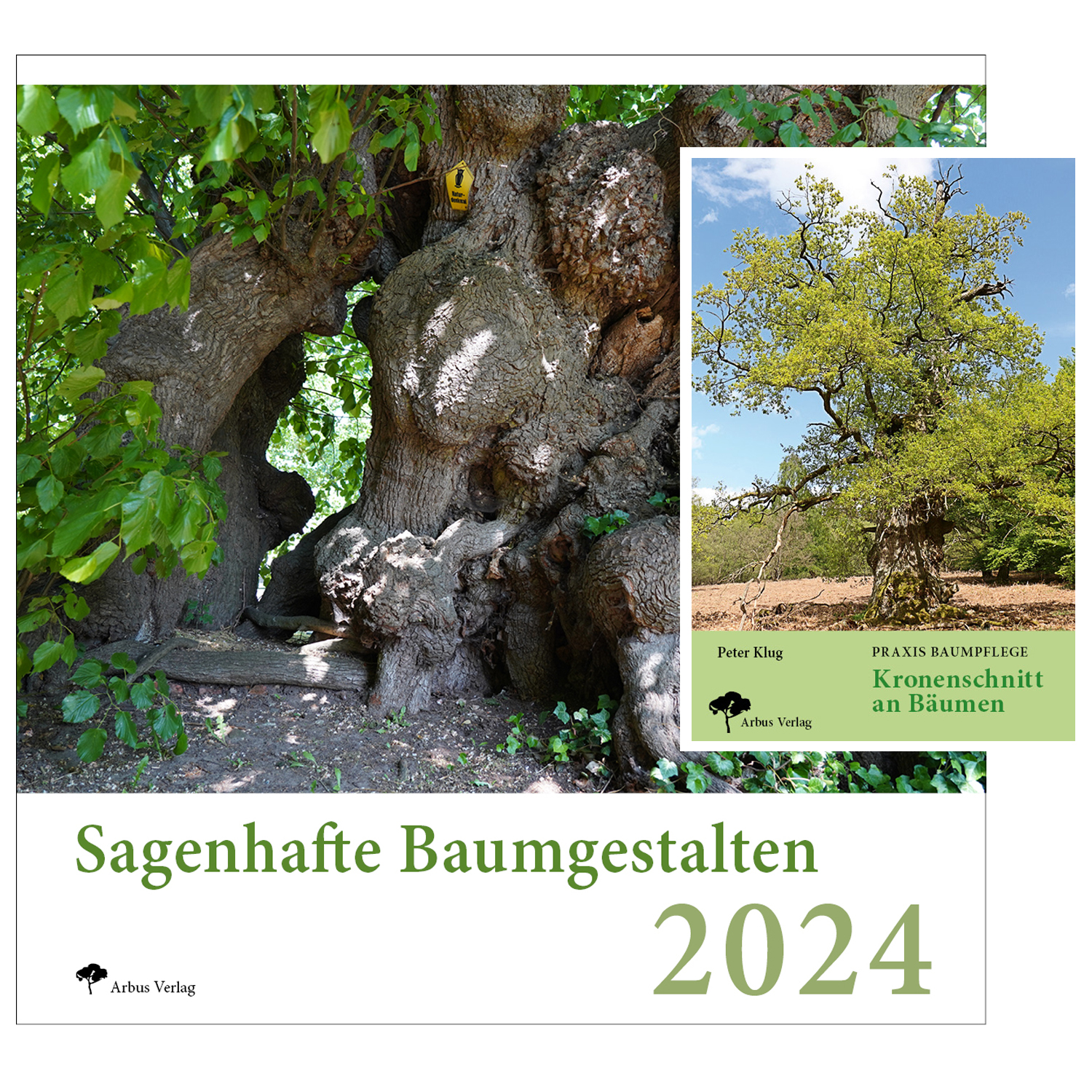Kombi Kalender Sagenhafte Baumgestalten + Buch Kronenschnitt an Bäumen