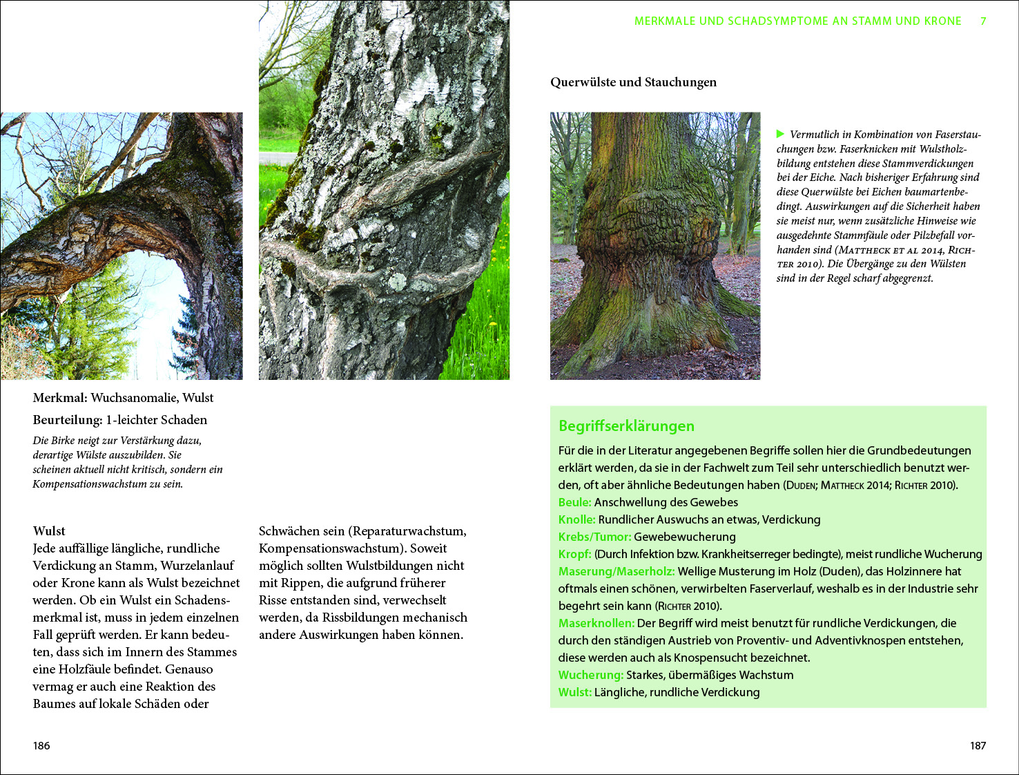 Praxis Baumkontrolle - Baumbeurteilung und Baumkataster